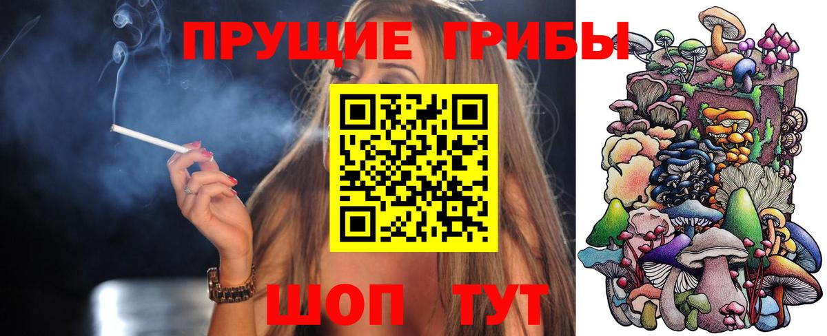 Галлюциногенные грибы Psilocybe Ростов-на-Дону