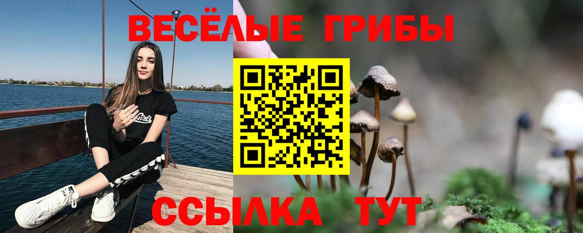 Псилоцибиновые грибы ЛСД  купить   Ростов-на-Дону  Вход с VPN  Псилоцибиновые грибы Psilocybe 